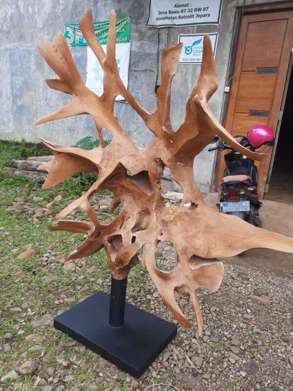 20220314 104629 optimized 600x800 - Teakroot Sculpture