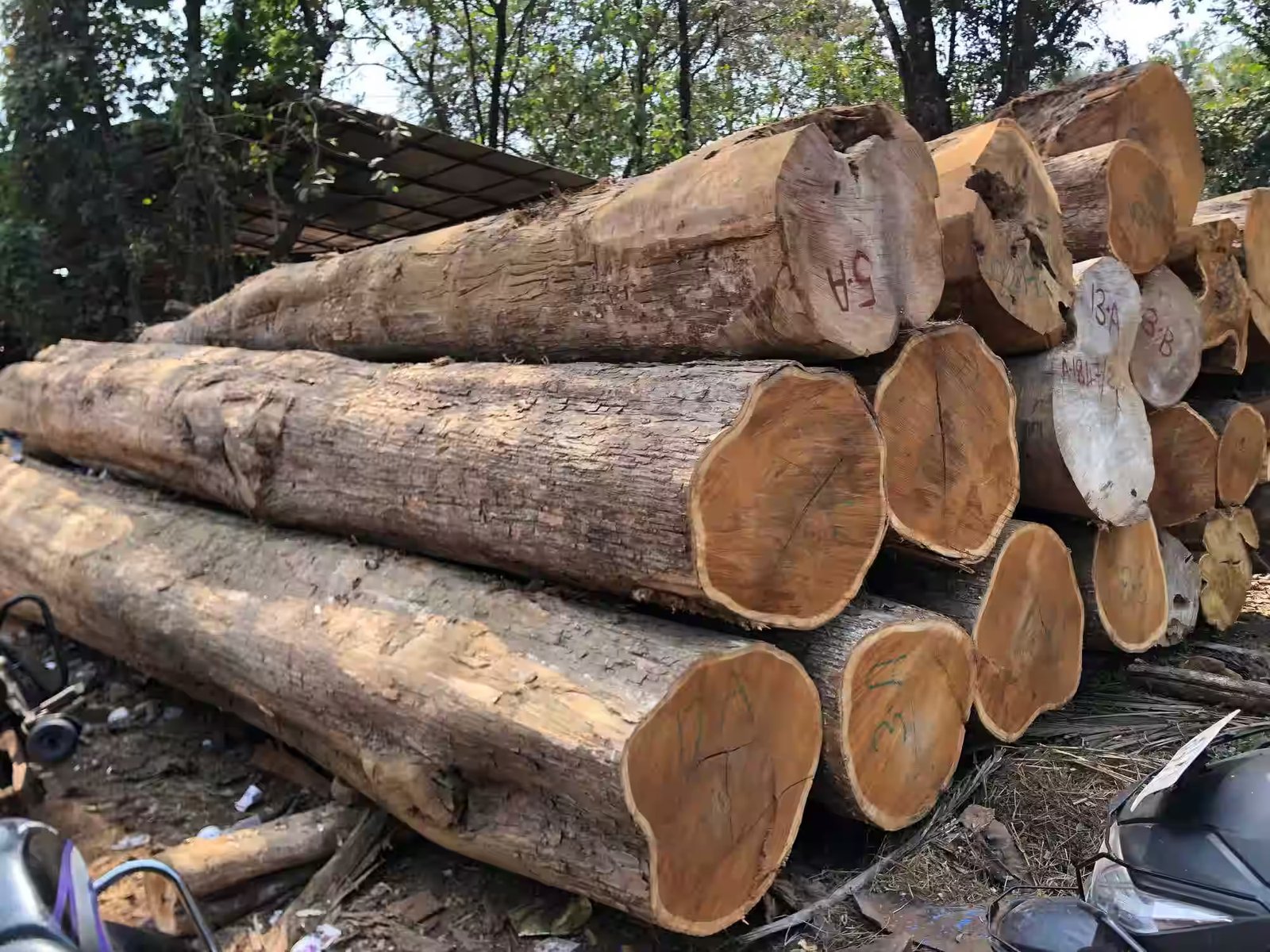 jai maruthi sawmills and wood industries hunsur hunsur timber dealers turon4gjg8 - Tentang Kami